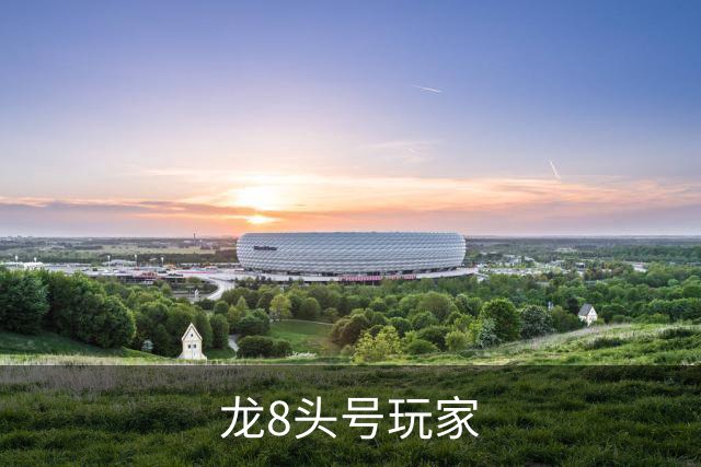 龙8头号玩家公司简介图片